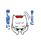 ネコのスーさん（個別スタンプ：9）