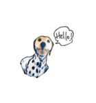 Val the Dal（個別スタンプ：1）