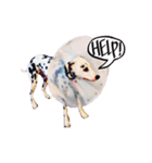 Val the Dal（個別スタンプ：15）