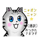ニコ ＆ コウ 3（個別スタンプ：17）