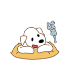 ラッキー君（日常編）（個別スタンプ：13）