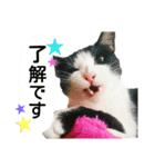 壱★（個別スタンプ：8）