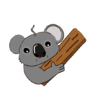 Koalai koala（個別スタンプ：1）