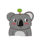 Koalai koala（個別スタンプ：8）