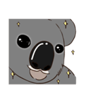 Koalai koala（個別スタンプ：9）