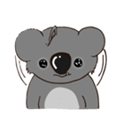 Koalai koala（個別スタンプ：17）