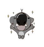 Koalai koala（個別スタンプ：20）