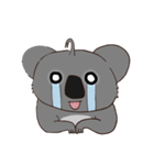 Koalai koala（個別スタンプ：24）