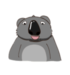 Koalai koala（個別スタンプ：25）