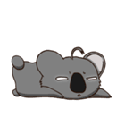 Koalai koala（個別スタンプ：28）