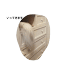 ペルシャ猫（個別スタンプ：1）