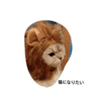 ペルシャ猫（個別スタンプ：6）