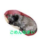 ピョンピョンくうちゃん（個別スタンプ：4）