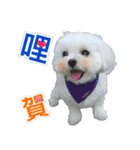 Jubby（個別スタンプ：1）