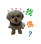Jubby（個別スタンプ：2）