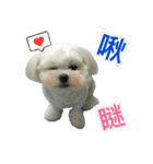 Jubby（個別スタンプ：3）