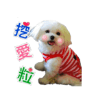 Jubby（個別スタンプ：4）