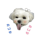 Jubby（個別スタンプ：5）