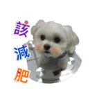 Jubby（個別スタンプ：6）
