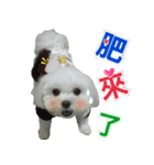 Jubby（個別スタンプ：7）