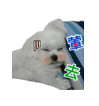Jubby（個別スタンプ：8）