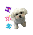 Jubby（個別スタンプ：9）