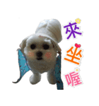 Jubby（個別スタンプ：10）