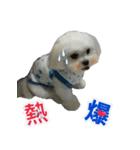 Jubby（個別スタンプ：12）