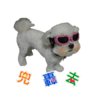 Jubby（個別スタンプ：13）