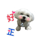 Jubby（個別スタンプ：14）