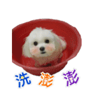 Jubby（個別スタンプ：16）
