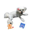 Jubby（個別スタンプ：17）