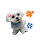 Jubby（個別スタンプ：18）