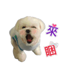 Jubby（個別スタンプ：20）