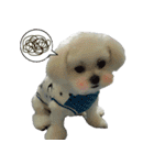 Jubby（個別スタンプ：21）