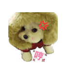 Jubby（個別スタンプ：22）