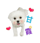 Jubby（個別スタンプ：23）