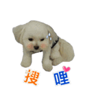 Jubby（個別スタンプ：24）