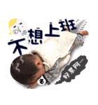 Little peanuts（個別スタンプ：14）