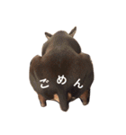 ミニピン マシュー ぼく6さい（個別スタンプ：2）