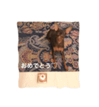 ミニピン マシュー ぼく6さい（個別スタンプ：24）