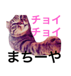 はる となつNo．2（個別スタンプ：21）