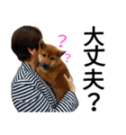 柴犬サニーの日常 #1（個別スタンプ：12）