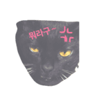 ナビさんの韓国語スタンプ（個別スタンプ：5）