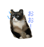 うりねぎさん（個別スタンプ：5）