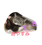 うりねぎさん（個別スタンプ：13）