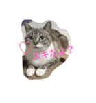 うりねぎさん（個別スタンプ：15）
