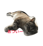 うりねぎさん（個別スタンプ：24）