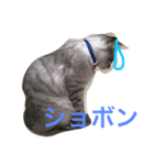 ぶん1（個別スタンプ：2）