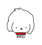 I am Reo. ☆かわいい犬☆Reo Go ！（個別スタンプ：39）
